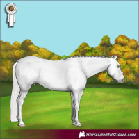 Horse Color:Gray White Spotted Silver Sable Cream Champagne Appaloosa 
