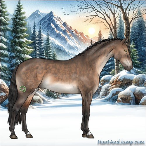 Horse Color:Brown Dun Sabino 