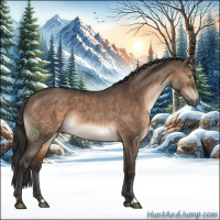 Horse Color:Brown Dun Sabino 