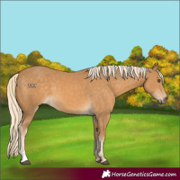 Horse Color:Palomino Mushroom