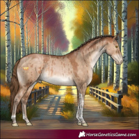 Horse Color:Brown Pearl Dun Tobiano Brindle 
