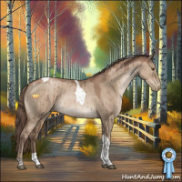 Horse Color:Grullo Pearl Tobiano Brindle 