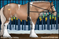 Horse Color:White Spotted Silver Black Pearl Tobiano 