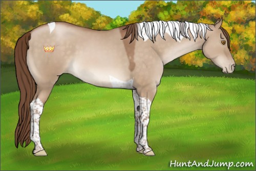 Horse Color:Brown Pearl Dun Tobiano