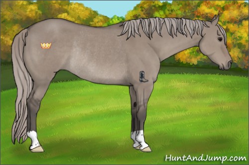 Horse Color:Silver Grullo Rabicano