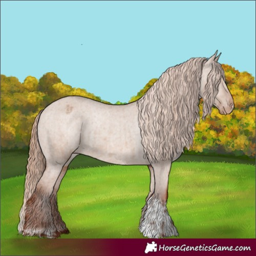 Horse Color:Red Dun Varnish  and Red Dun Varnish Rabicano 