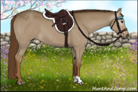 Horse Color:Gray Red Dun 
