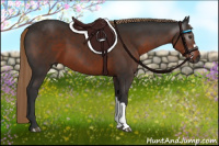 Horse Color:Gray Liver Chestnut 