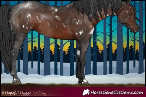 Horse Color:White Spotted Liver Chestnut Rabicano
