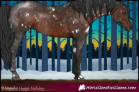 Horse Color:White Spotted Liver Chestnut Rabicano 