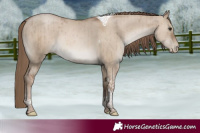 Horse Color:Grullo Pearl Tobiano Brindle 