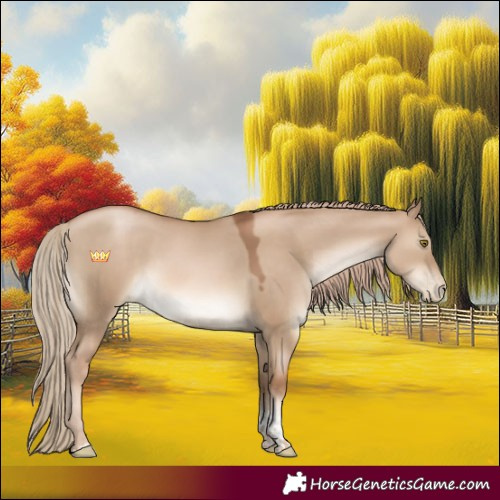Horse Color:Liver Red Dun Pearl Tobiano 