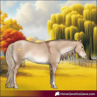 Horse Color:Liver Red Dun Pearl Tobiano