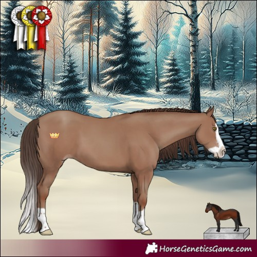 Horse Color:Classic Champagne Splash