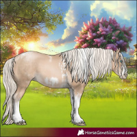 Horse Color:Chocolate Palomino Pearl Tobiano Frame  and White Spotted Chocolate Palomino Pearl Tobiano Frame 
