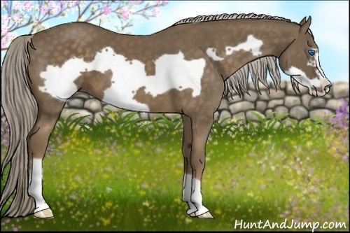 Horse Color:Chocolate Palomino Frame 