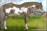 Horse Color:Chocolate Palomino Frame 