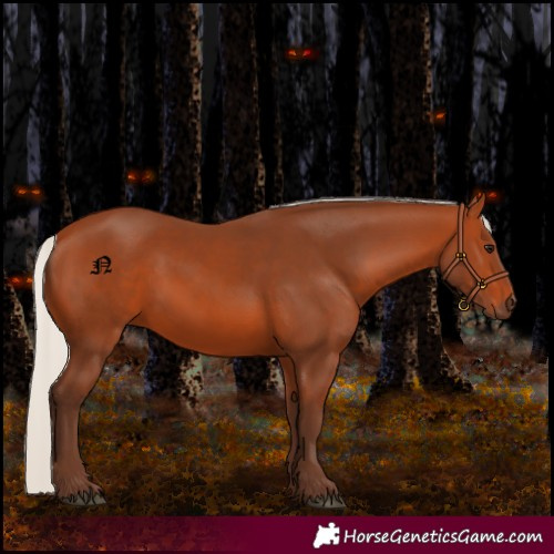 Horse Color:Silver Bay 