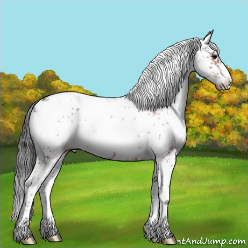 Horse Color:Bay Sabino 