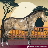 Horse Color:White Spotted Buckskin Dun Sabino Brindle 