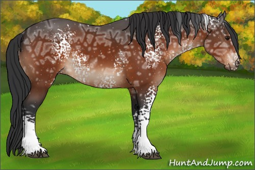 Horse Color:White Spotted Brown Ice 