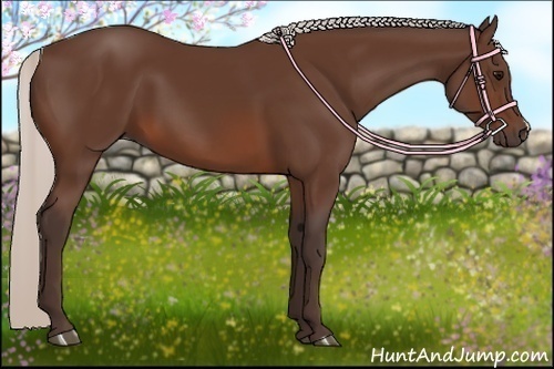 Horse Color:Silver Brown 