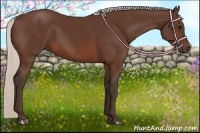 Horse Color:Silver Brown