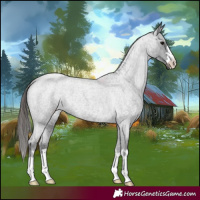 Horse Color:Blue Roan Varnish 