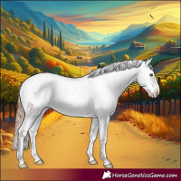 Horse Color:Gold Champagne Dun Sabino Near Fewspot 