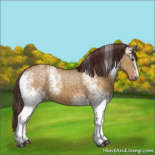 Horse Color:White Spotted Chocolate Buckskin Dun Mushroom Sabino