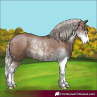 Horse Color:Chocolate Silver Brown Dun Sabino Rabicano 
