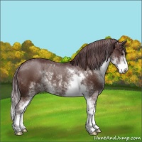 Horse Color:Chocolate Brown Sabino Rabicano 