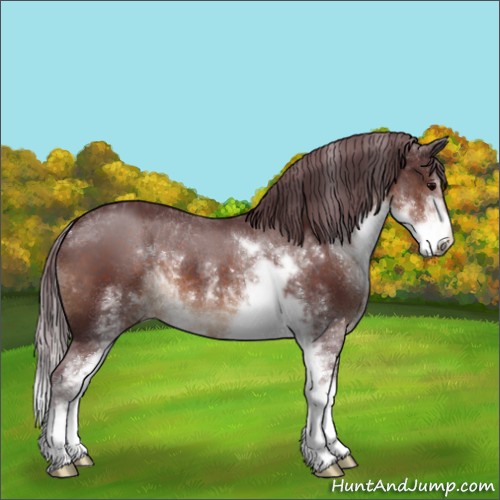 Horse Color:Chocolate Brown Sabino 