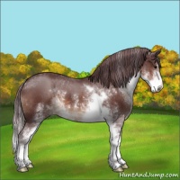 Horse Color:Chocolate Brown Sabino 