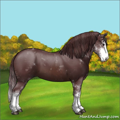 Horse Color:Chocolate Brown Sabino 