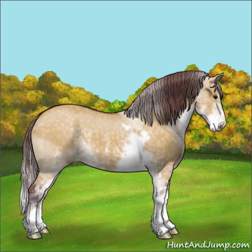 Horse Color:Chocolate Buckskin Dun Sabino 