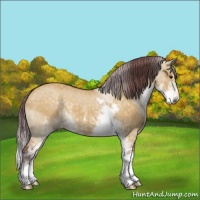 Horse Color:Chocolate Buckskin Dun Sabino 