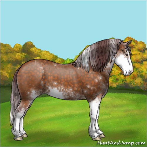 Horse Color:Chocolate Buckskin Mushroom Sabino