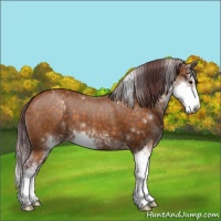Horse Color:Chocolate Buckskin Mushroom Sabino 