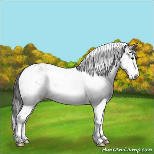 Horse Color:Brown Dun Mushroom Sabino