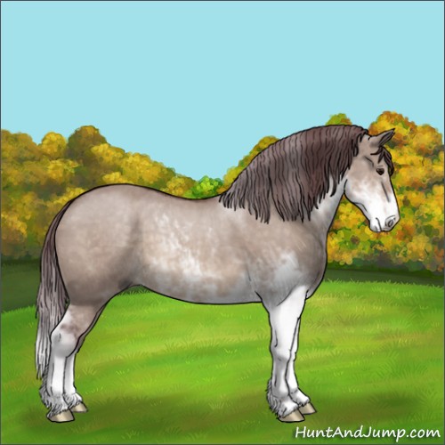 Horse Color:Chocolate Brown Dun Mushroom Sabino 