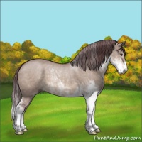 Horse Color:Chocolate Brown Dun Mushroom Sabino 