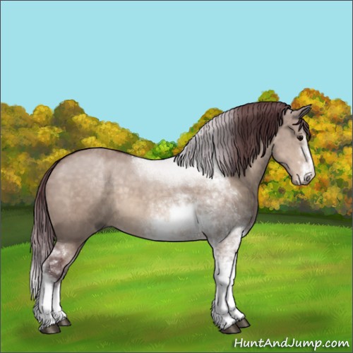 Horse Color:Chocolate Brown Dun Mushroom Sabino