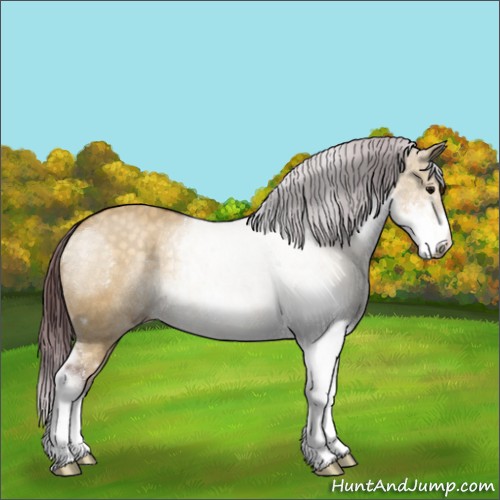 Horse Color:Chocolate Buckskin Dun Sabino 