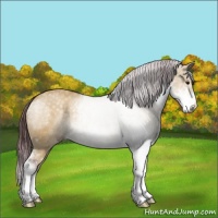 Horse Color:Chocolate Buckskin Dun Sabino 