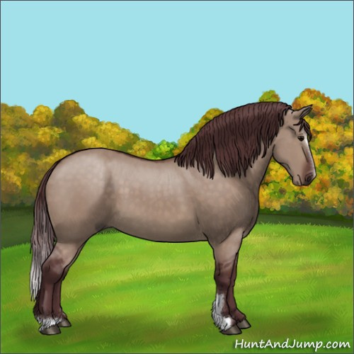 Horse Color:Chocolate Brown Dun Sabino