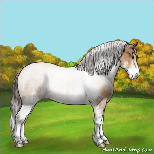 Horse Color:Chocolate Buckskin Dun Sabino 