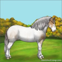 Horse Color:Chocolate Buckskin Dun Sabino 