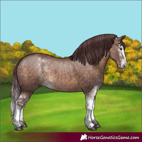 Horse Color:Chocolate Brown Dun Mushroom Sabino 