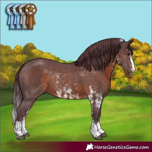 Horse Color:Chocolate Brown Sabino Rabicano 